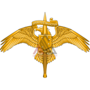 Breast Insignia
