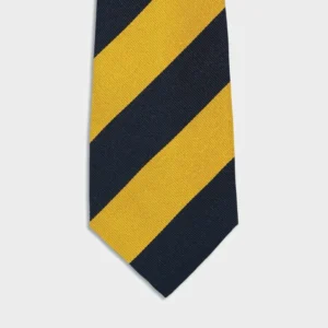 Princess of Wales Royal Reg Tie